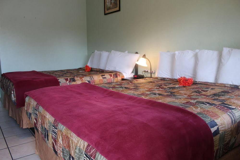 Sunshine Inn & Suites Venice, Florida Venice Gardens エクステリア 写真
